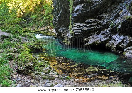 Bled gorge