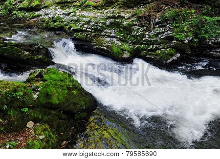 Bled gorge