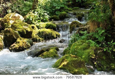 River in Lepena valley