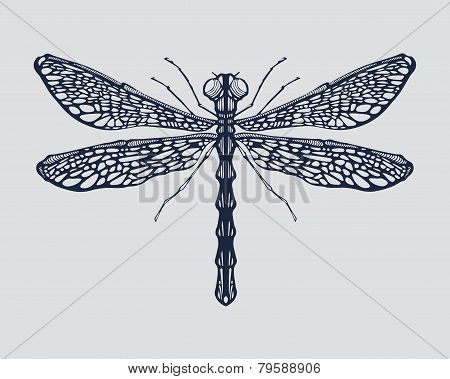 Dragonfly