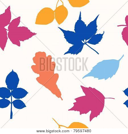 Autumn leaves