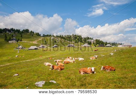 Velika planina, Slovenia