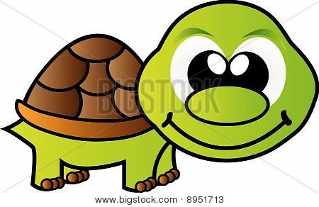 vector turtle