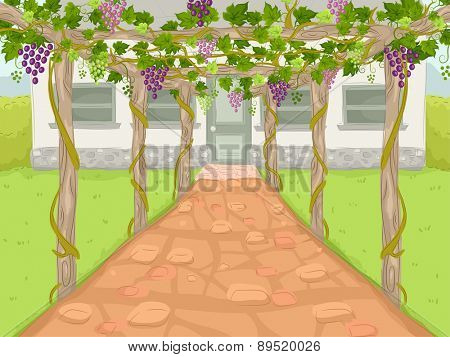 Illustration of a Wine Estate with a Path Covered by Grape Trellises Leading to the Main House