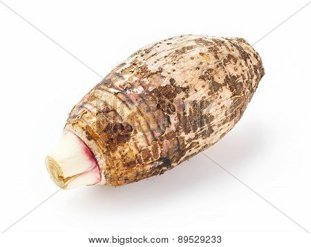 Taro