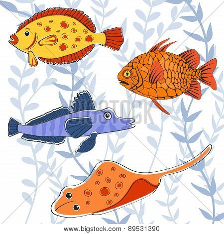 Colorful fishes