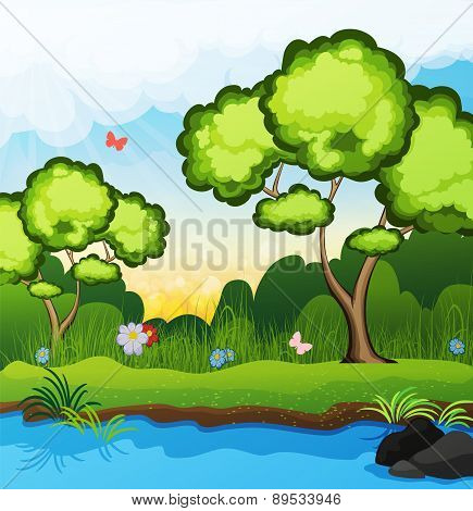 Trees On The Riverbank