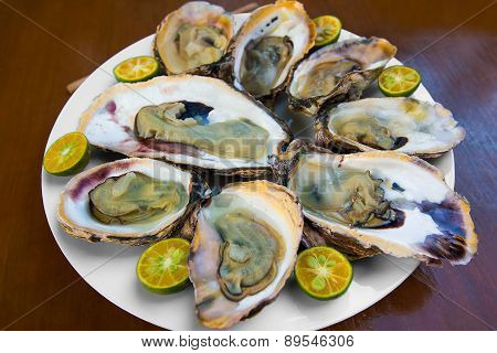 Opened Fresh Oysters In A White Plate With Lime On A Wooden Table