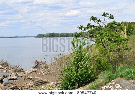 Danube in Serbia