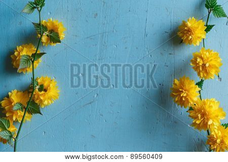Yellow Japanese Kerria