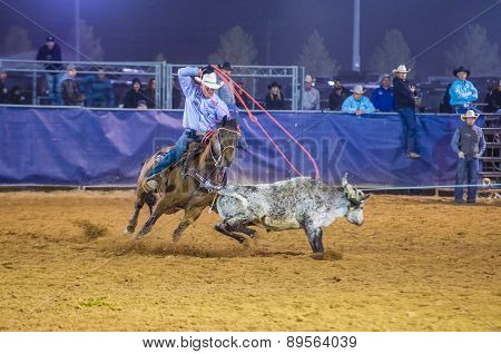 Clark County Fair And Rodeo