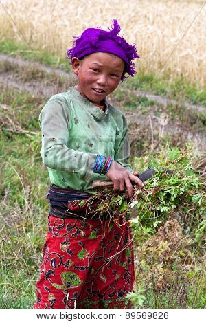 Nepalese Girl In Dolpo, Nepal