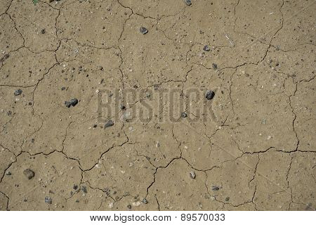 Dirt Ground Texture