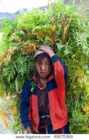 Tibetan Girl, Nepal