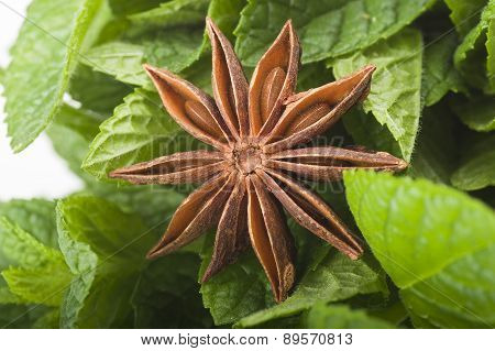 Spices