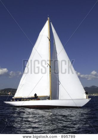 Irina Vii