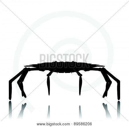 Crab Silhouette