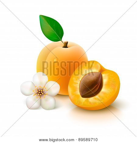Peaches and flower