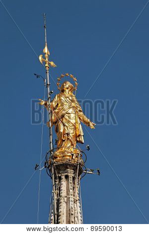 Statue Of The Madonna On Top Of The Milan Cathedral