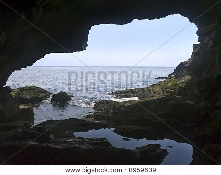 Grotta di anemone, Maine costa