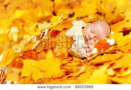 Autumn Baby Sleeping, Newborn Kid In Fall Yellow Leaves, Asleep New Born