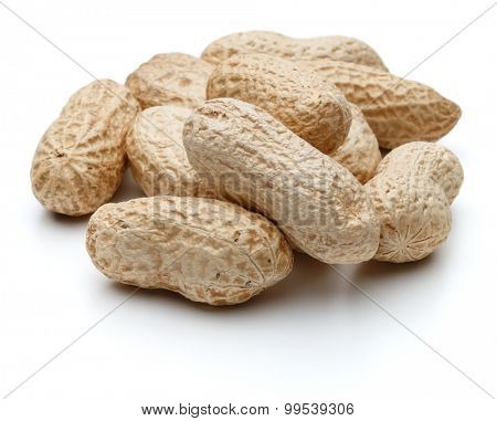 peanut pod or arachis isolated on white background cutout
