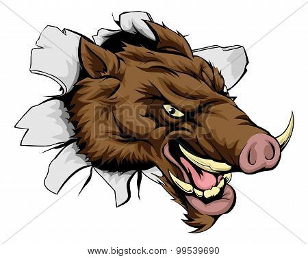 Boar Bursting Out
