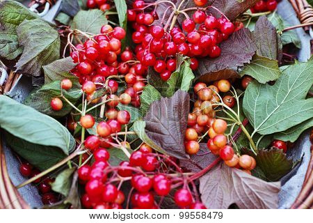 Fresh, ripe berries in the basket, decor