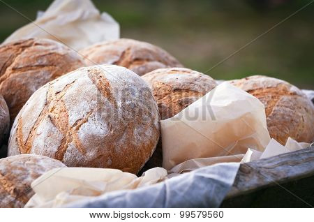 Fresh bread on parchment