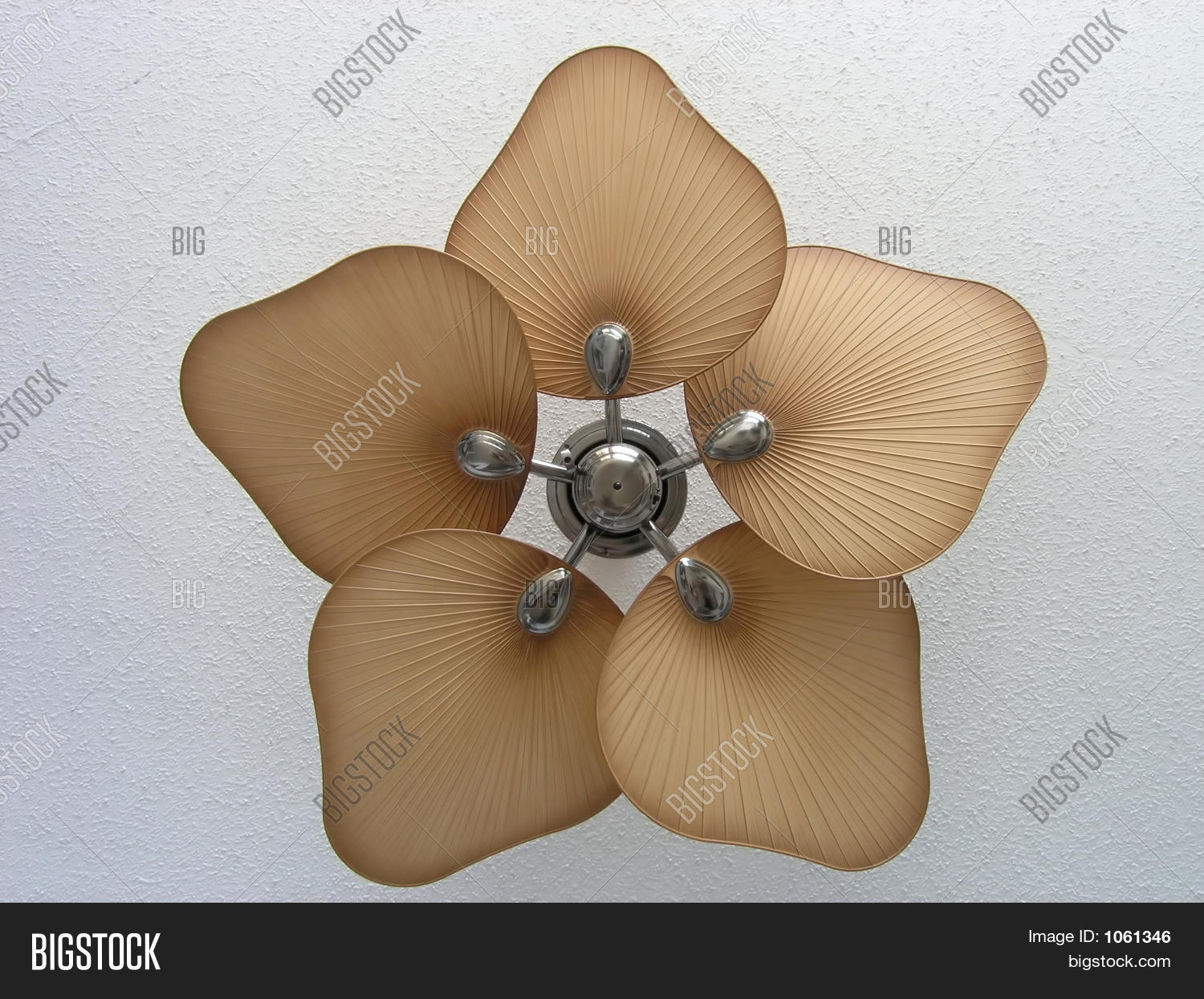 Petal Fan Image & Photo (Free Trial) Bigstock
