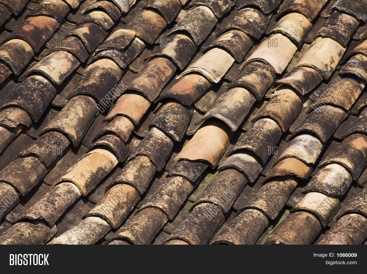 Terra Cotta Shingles On Roof Image & Photo Bigstock
