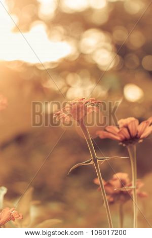 Retro Flowers Background