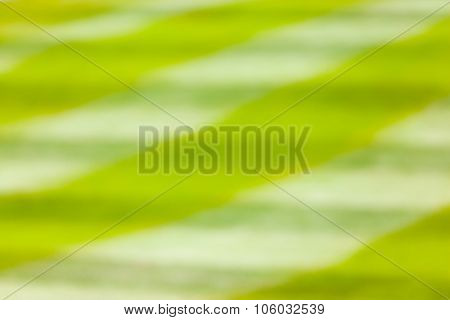 Abstract Background Blurred Of Green Golf Course.