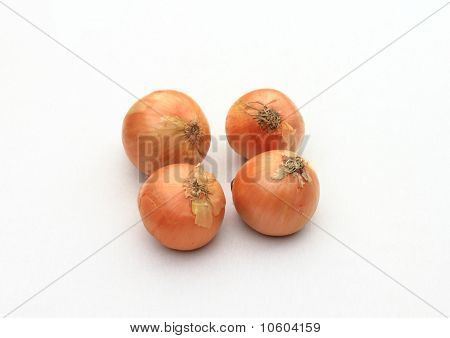 Cibule