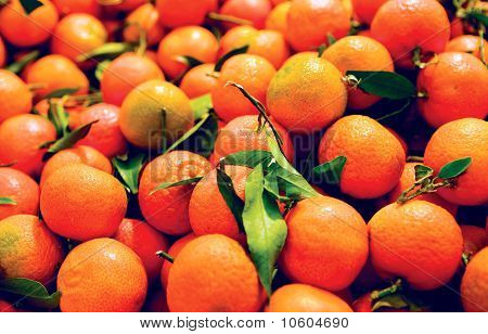 Mandalina