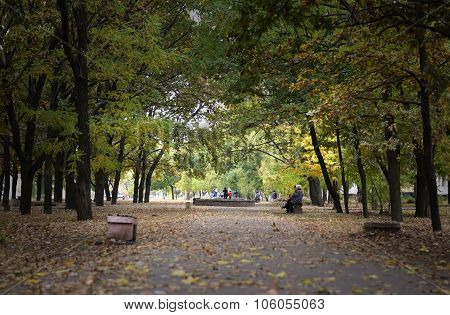 Autumn. Mainly Cloudy.