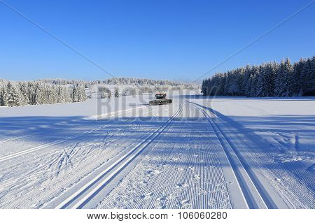 Winter Landscape And Trails For Skiers