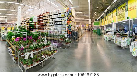 MOSCOW, RUSSIA - FEBRUARY 15, 2015: Potted plants in  store Leroy Merlin. Leroy Merlin is a French home-improvement and gardening retailer serving thirteen countries