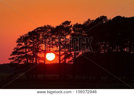 Sunset Silhouette