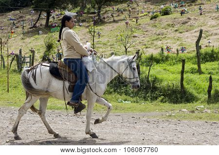 Woman And A Horse