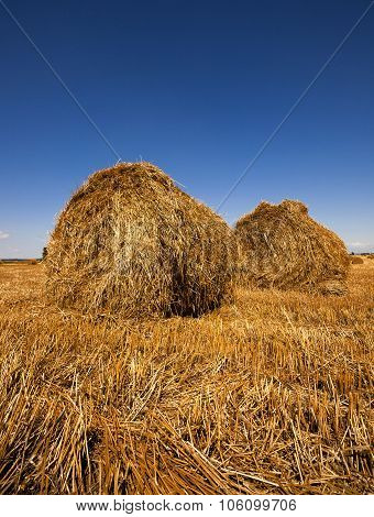 stack of straw in the field