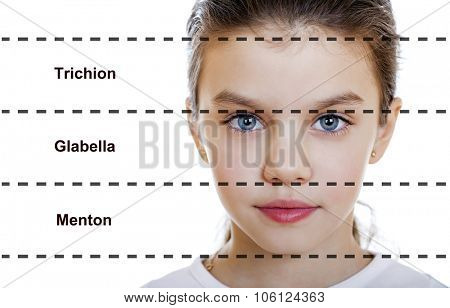 The ideal beauty. Symmetric of the female face of a little girl, isolated on white background. Translation of inscriptions from top to bottom: upper third, middle third lower third