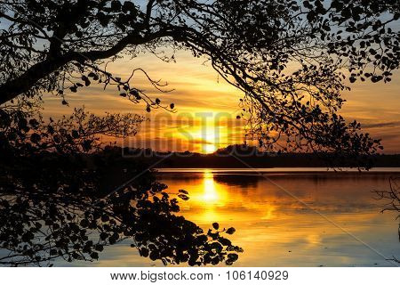 Sunset Over The Lake, Framed By A Branch In A Natural Arch