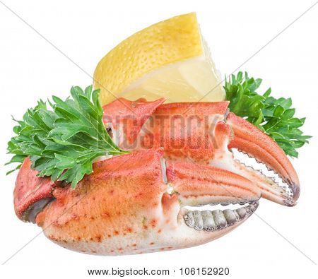 Cooked crab claws with lemon and herbs on a white background.