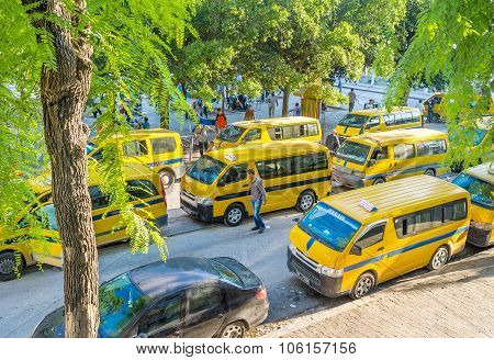 The Taxi Buses