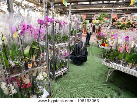 MOSCOW, RUSSIA - MARCH 04 2015: Orchids in OBI store in Moscow Russia. OBI is a German retail chain