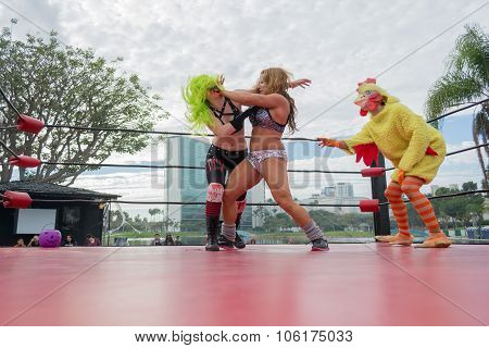 Freak Show Fighters