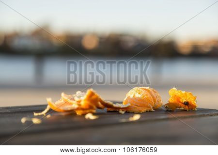 Half Eaten Clementine