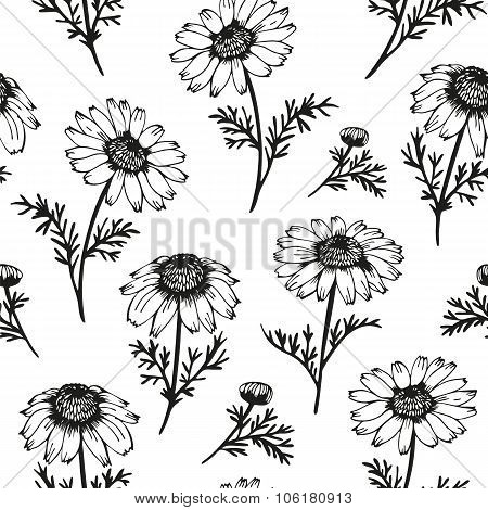 Chamomile Pattern