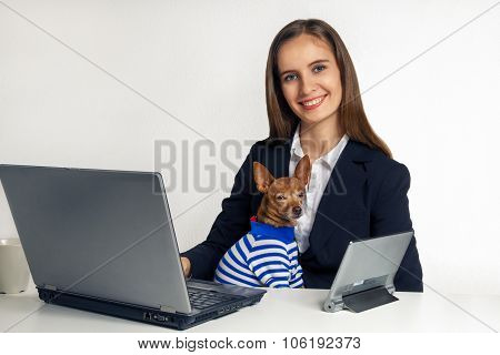 The Girl And Little Dog Work With Laptops
